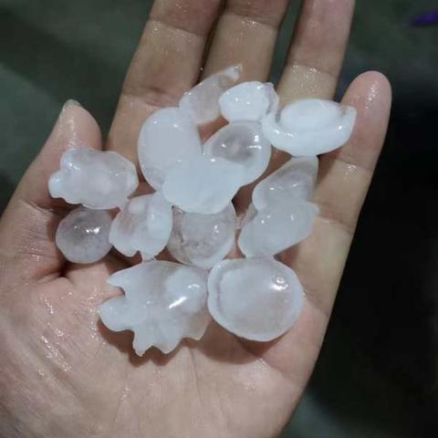 广东天气，一部没有剧本的变脸大戏