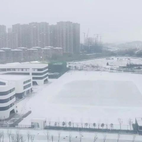烟台天气预报查询，掌握天气变化，从容安排每一天