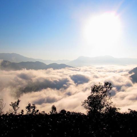 天气预告的褶皱里，藏着人间悲喜
