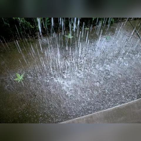 武汉天气30天预报,精准掌握未来一个月的晴雨冷暖 武汉天气30天预报,精准掌握未来一个月的晴雨冷暖