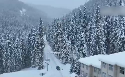 阿勒泰的天气,一半是雪,一半是光 阿勒泰的天气,一半是雪,一半是光