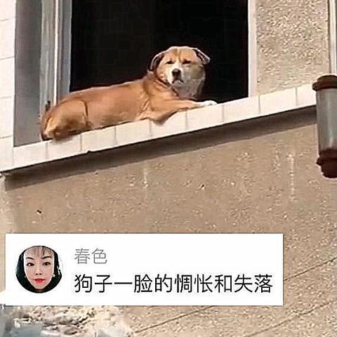 山东省气象台,风雨无阻的天气哨兵 山东省气象台,风雨无阻的天气哨兵