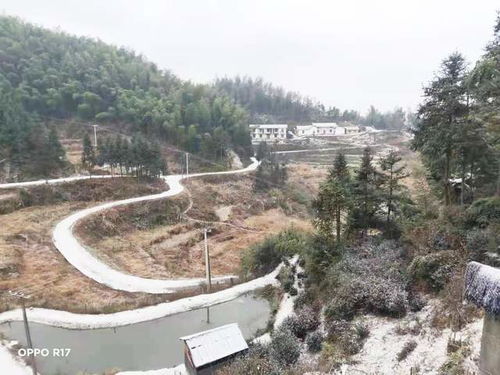 汨罗天气预报，一座古城的冷暖与诗意